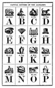 Alphabets & Numerals