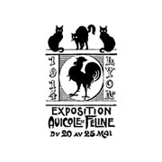 Feline Expo