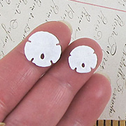 Tiny Sand Dollars