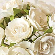 Soprano White Paper Roses*