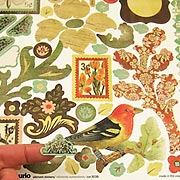 Curio Sticker Elements