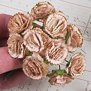 Mulberry Paper Carnations - Tan*