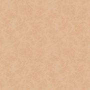 Tan Leather Scrapbook Paper