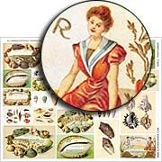 Shell Postcards Collage Sheet