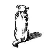 Toby Looking Elsewhere Rubber Stamp
