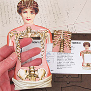 Anatomy Shrine Kit - Victorian Torso
