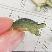 Mini Turtle