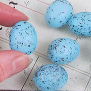 Blue Speckled Plastic Eggs