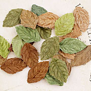 Mini Velvet Leaves