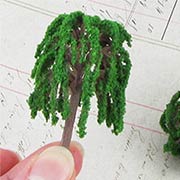 Tiny Green Willow Tree