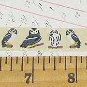 15mm Owl Paper Tape