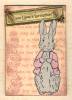 Rozeboom_Bunny_ATC4.jpg